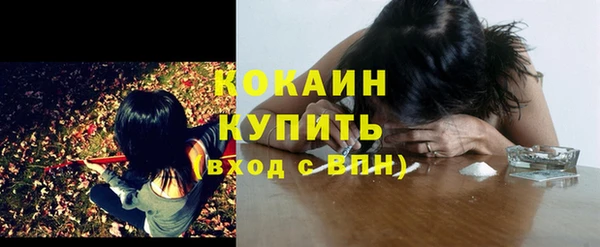 Альфа ПВП Вяземский